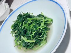 -绿波廊(豫园店)