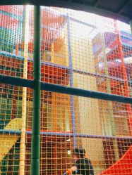 -宝燕乐园(闵行旗舰店)