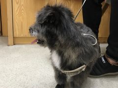 -宠颐生宠物医院·心肾内科·猫专科诊疗中心宠巢店
