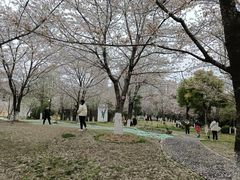 -堤角公园