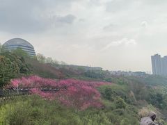 -重庆悦来温德姆酒店