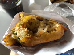 传统素饺子-半月镰胡姐脆皮萝卜饺子