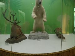 -国家自然博物馆