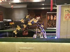 -同喜烤鸭店(光芒店)