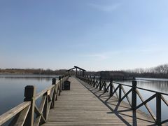 -溱湖国家湿地公园