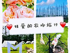-前小桔亲子创意农场·草莓采摘·露营烧烤