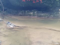 -桂林古东瀑布景区