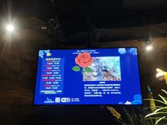 -合肥海洋世界