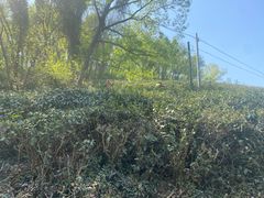 -南京市江宁方山