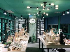 -Trend1881视光·蔡司视觉(领展广场店)