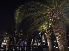 景点-白鹭洲公园