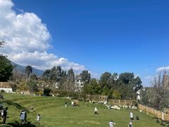 -云禾壹海景庄园餐厅