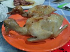 -石岐乳鸽村(南海第三分店)