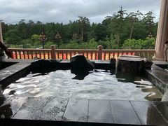 -金水鹤温泉国际酒店