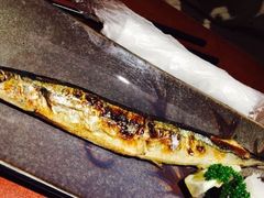 -大吉鲜鱼料理自慢(维也纳大厦店)