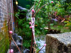 -小洲村