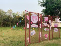 -天适樱花悠乐园