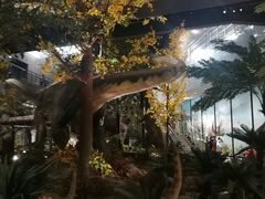 -湖南省地质博物馆