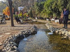 -HERRE·FARM 赫尔露营农场·团建聚会包场