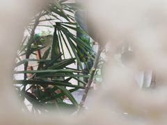 -北马山庄植趣咖啡