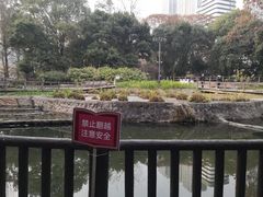 -成都市活水公园