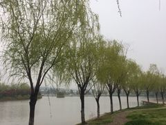-南京医科大学(江宁校区)