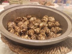 胡椒風螺-光头匠