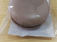 -多乐之日(田林东路店)