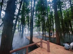 -东湖落雁景区