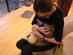 -啵啵喵·猫咖(攀华国际店)