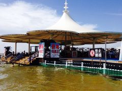 -碧海金沙