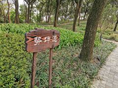 -上海市保健医疗中心