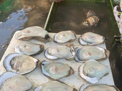 -南沙十九涌渔人码头-南门