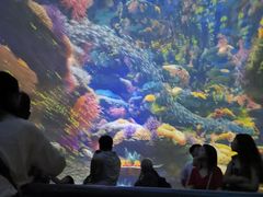 -烟台海昌鲸鲨海洋公园