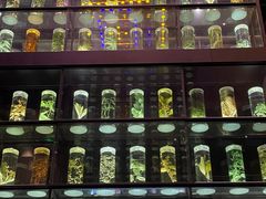 -广东中医药博物馆