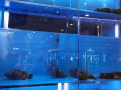 -大头椰·椰子鸡火锅(南宁万象城店)