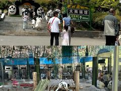 -栾川竹海野生动物园