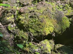 -海口火山口国家地质公园