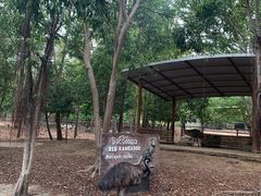 -清迈夜间动物园