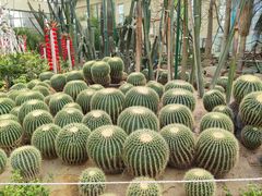 -石家庄市植物园