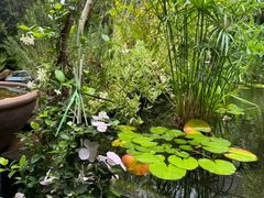 -肴约·花园式餐厅(湖里店)