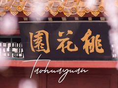 -桃花堤公园