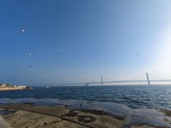 -星海湾跨海大桥