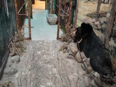 -北京动物园-畅观楼