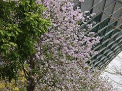 -中国移动南方基地