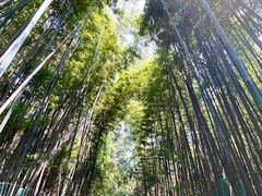 -四门塔风景区
