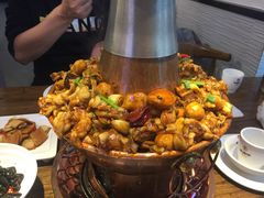 -老佛爷蛙锅•鲜蛙煲(麦凯乐店)