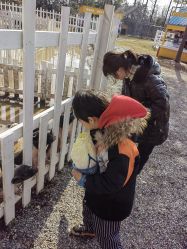 -前小桔亲子创意农场·草莓采摘·露营烧烤