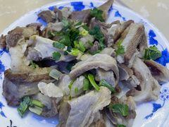 羊肚-月圆火锅(宁海东路二店)