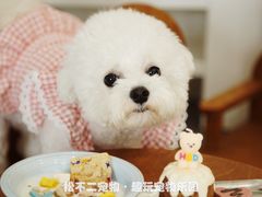 -趣玩宠物乐园寄养训犬训狗游泳池